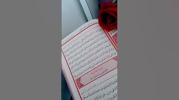 سورة الاعلى/للقارئ احمد الشلبي /رقم الصفحة 591