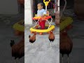 Ku du ku  chicken dance shorts viral trending