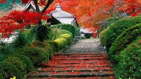 ما تيسر من سورة الزمر للقارئ الشيخ خالد الوصابي