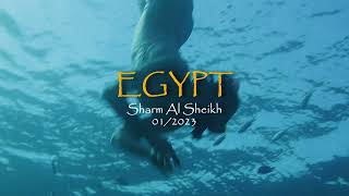 Вся красота ЕГИПТА / Шарм Аль Шейх / р-н Хадаба январь 2023