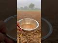 चाय 🍵☕️ #villagelife #culture #nature #love #desi #farming #rajasthanifood #food #rajasthanistatus