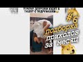 Подборка приколов за месяц. Лучшие приколы недели.  Ноябрь 2020 #6