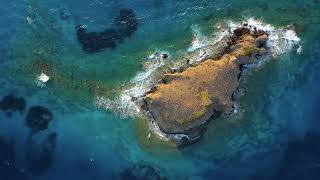 THE BEAUTIFUL SIDE OF THE OCEAN