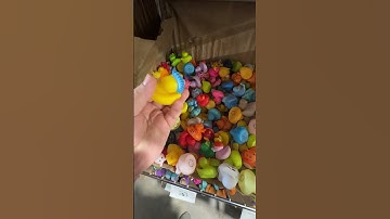 Someone Won Over 30 RUBBER DUCKS From My Online Arcade!