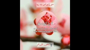 سورة يونس: ٦٢-٦٤ || Surah Yunus: 62-64 || الشيخ سعود الشريم || Sheikh Saud As Shuraim