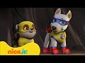 Patrulha Canina | Rubble vs. as Aranhas! | Nick Jr. em Português