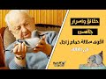 سلالة الاخوة جانسن أقوى سلالة حمام زاجل في العالم