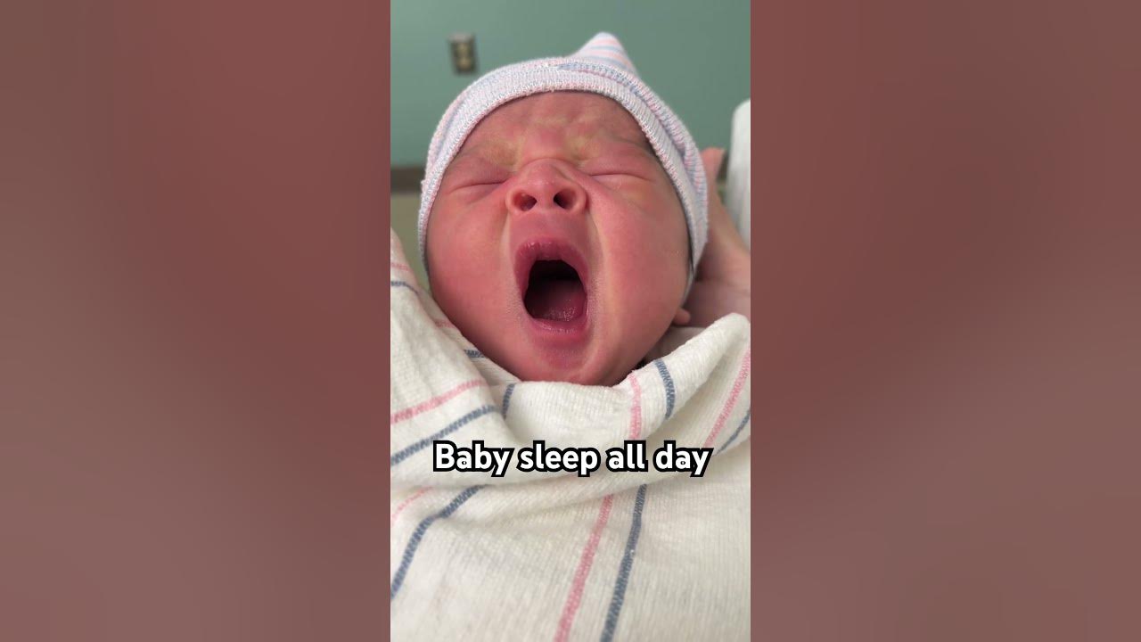 1 Day Old Baby Sleep All Day YouTube 1-day-old-baby-sleep-all-day-youtube