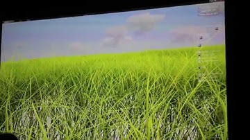 Maxwell-Techdemo: Physx