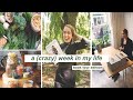 A WEEK IN MY ZERO WASTE LIFE // i wrote a book and I am going on tour