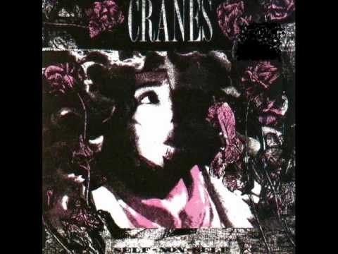 cranes beach mover