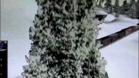 Black Widows on Donner