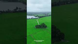 house boat kerala | Venezia kerala luxury houseboat alleppey | Alappuzha boat house