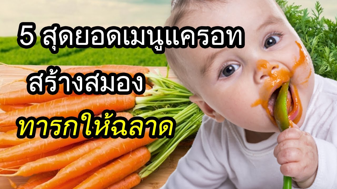 อาหารเด็กทารก : 5 สุดยอดเมนูแครอทสร้างสมองทารกให้ฉลาด | เมนูอาหารเด็ก | เด็กทารก Everything