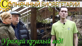 Солнечный биовегетарий Иванова. Преимущества заглубленного биовегетария.