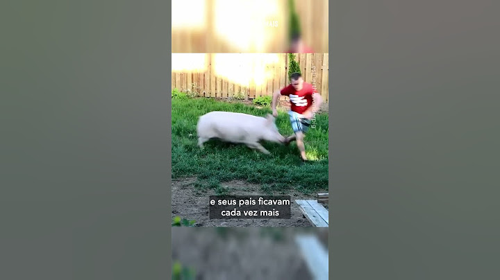 'Mini pig' muda completamente a vida de casal