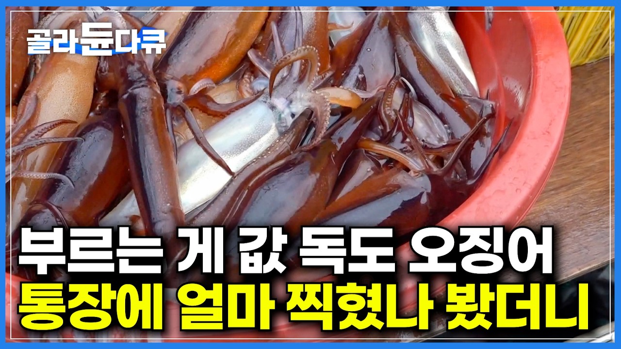 수요는 넘치는데 공급이 없다. 서둘러 독도로 배 돌렸더니｜잡은 만큼 가져가는 오징어잡이｜인도네시아 선원이 오징어배 에이스｜비가 오면 낙찰가가 반토막 나는 이유｜극한직업｜#골라듄다큐