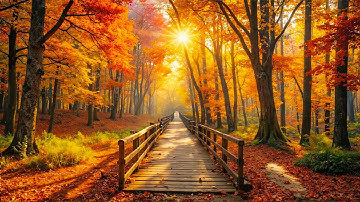 Soothing Autumn Melodies 🍁 Stress Relief and Emotional Healing