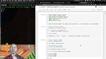 Histograms for Cat Images  --  Latent Topics in Data Science