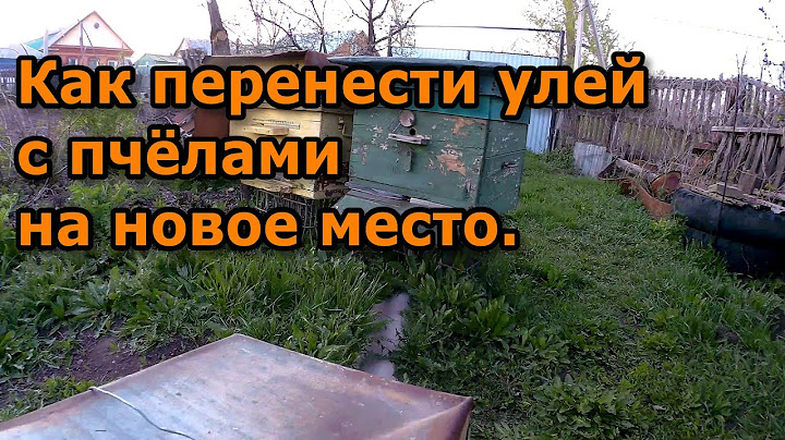 Как перенести улей с пчёлами на новое место.