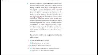 Türkçe Bi̇r Soru Bi̇r Cevap 228