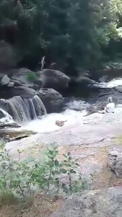 I Look Stupid Every Time I Jump Off A Rock Into Water Hi Def Video i-look-stupid-every-time-i-jump-off-a-rock-into-water-hi-def-video