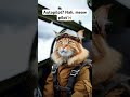 AI Cat Learns to Fly a Plane” #cat #cute #pets #meowgical #ai #cat #aigenerated #pilot #plane #aicat