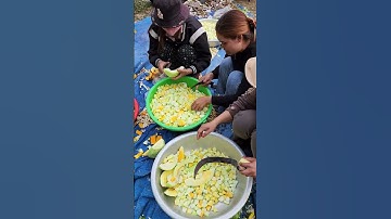 phong tục hỏi chồng của người Jrai Tây Nguyên #dulichtaynguyen #phongtucjrai