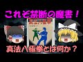 これぞ禁断の魔書!真法八極拳とは何か?