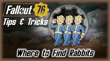 Fallout 76: Tips & Tricks :: Where to Find Rabbits
