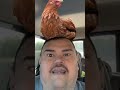 Que puso la gallina??  What did the chicken lay down??  #funny #laugh #iwanttogoviral