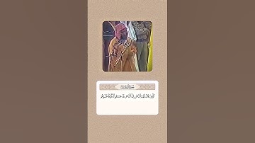 سورة آل عمران | القارئ محمد ايوب