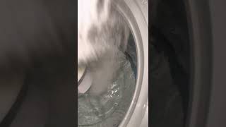 Zote Liquid Is Amazing