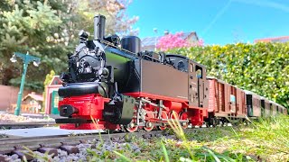 Rosa im Garten - 99716 (LGB 20483) mit Öchsle Museumszug auf der Esslinger Gartenbahn unterwegs