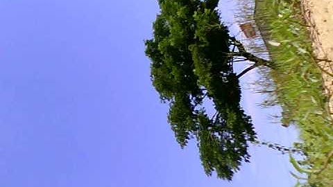 Go Fly With HBFP Part2.AVI