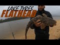 Lake TYERS FLATHEAD | Bait Works Every Time!