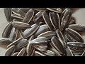 Sewing Tutorial ।। Tips and tricks Plazo Sewing Tutorial # sewing