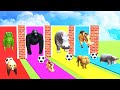 Choose the Right Door Challenge with  Elephant Gorilla Zebra Dinosaur Wild Animals Funny Animation