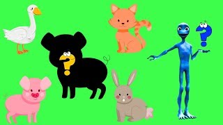 Животные Для Детей 3 Лет - Животные Для Детей Мультик Bonbi Tv