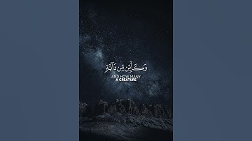 القارئ عبدالرحمن مسعد لا إله إلا الله محمد رسول الله