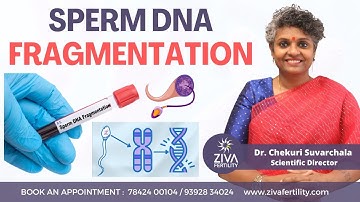 Sperm DNA Fragmentation || Male Infertility Treatment || Dr Chekuri Suvarchala || ZIVA Fertility