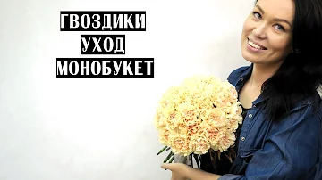 СОХРАНЯЕМ ЖИЗНЬ ЦВЕТАМ | ГВОЗДИКИ | МОНОБУКЕТ