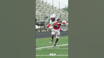 Pass Interference or Clean Catch??!? #324sports #highlights #footballhighlights