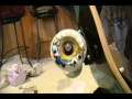 Zumiez unboxing- Plan B Torey Pudwill Grizzly Deck Zumiez unboxing- Plan B Torey Pudwill Grizzly Deck