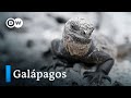 Galápagos batalla contra la basura oceánica