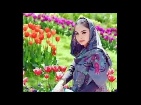 مرضيه نسيم فروردين