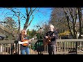 The soup dragon  traditional jig by two celtic souls