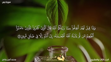 سورة يس كاملة برواية حفص عن الإمام عاصم | محمد أمين واضح
