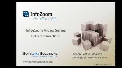 Audit Data Analytics using InfoZoom Finding Duplicates