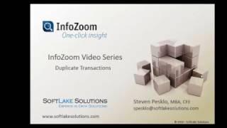 Audit Data Analytics using InfoZoom Finding Duplicates